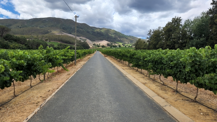 Commercial Property for Sale in Wellington Central Western Cape